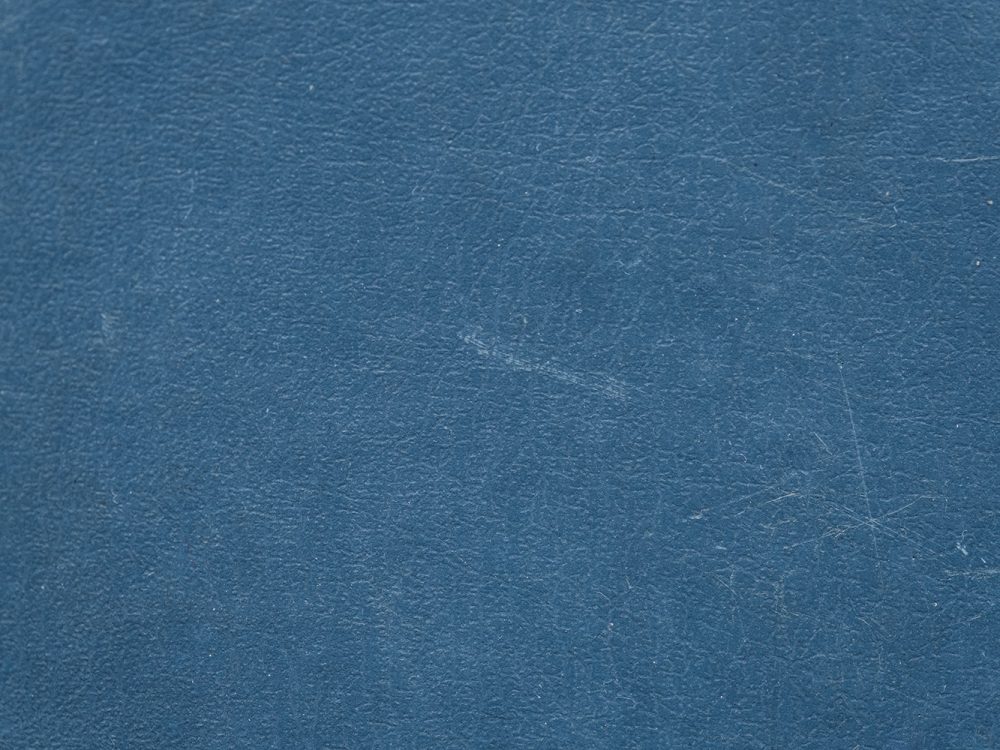 Leather Free Texture