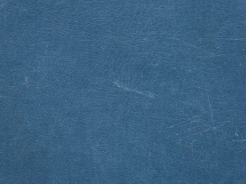 Leather Free Texture