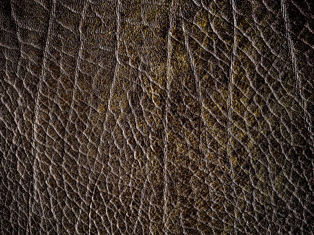 Leather Free Texture