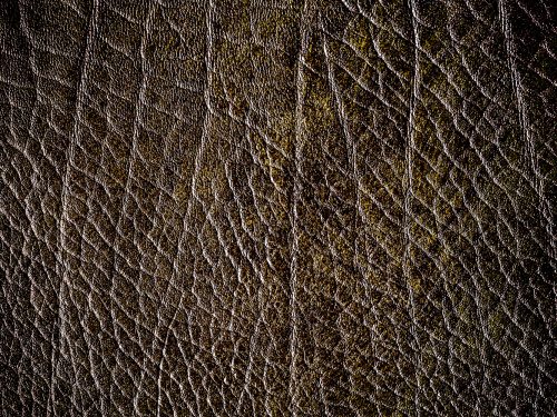 Leather Free Texture