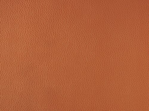Leather Free Texture