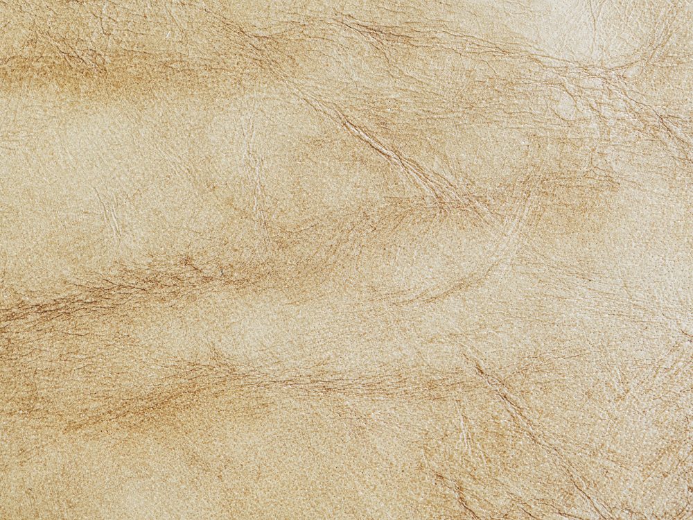 Leather Free Texture