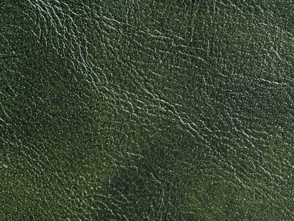 Leather Free Texture