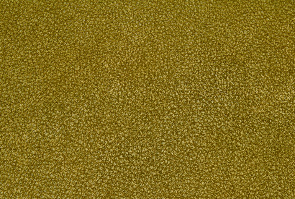 Leather Free Texture