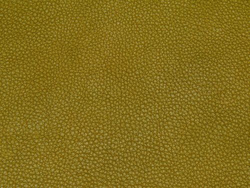 Leather Free Texture