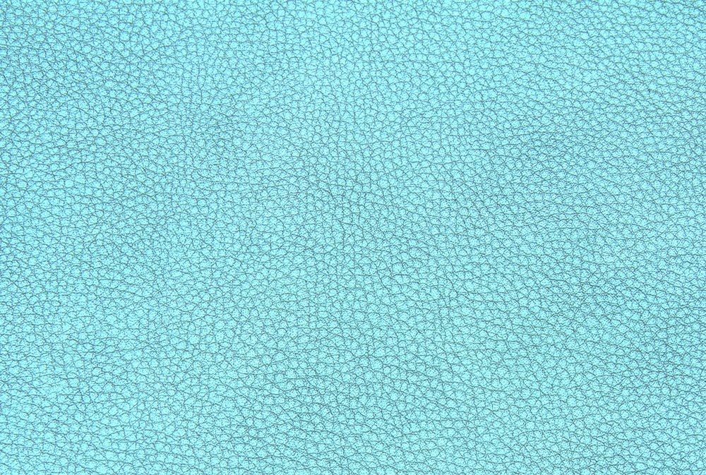 Leather Free Texture