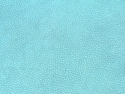 Leather Free Texture