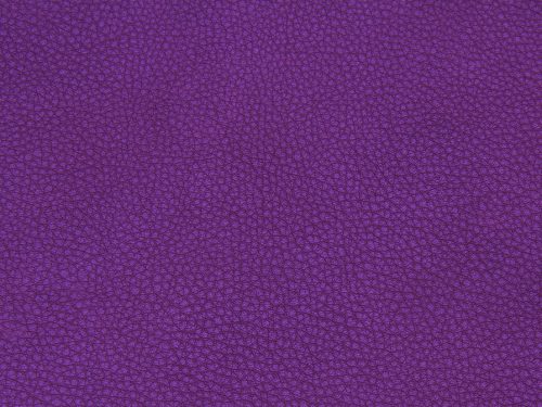 Leather Free Texture