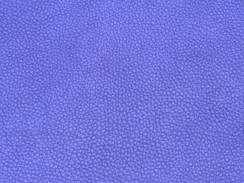 Leather Free Texture