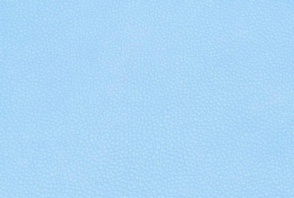 Leather Free Texture