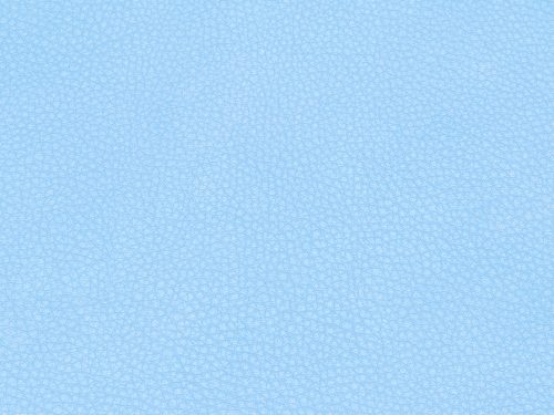 Leather Free Texture