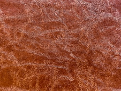 Leather Free Texture