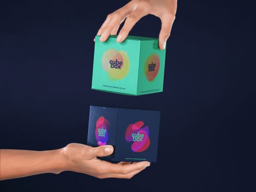 Cub Box Mockup