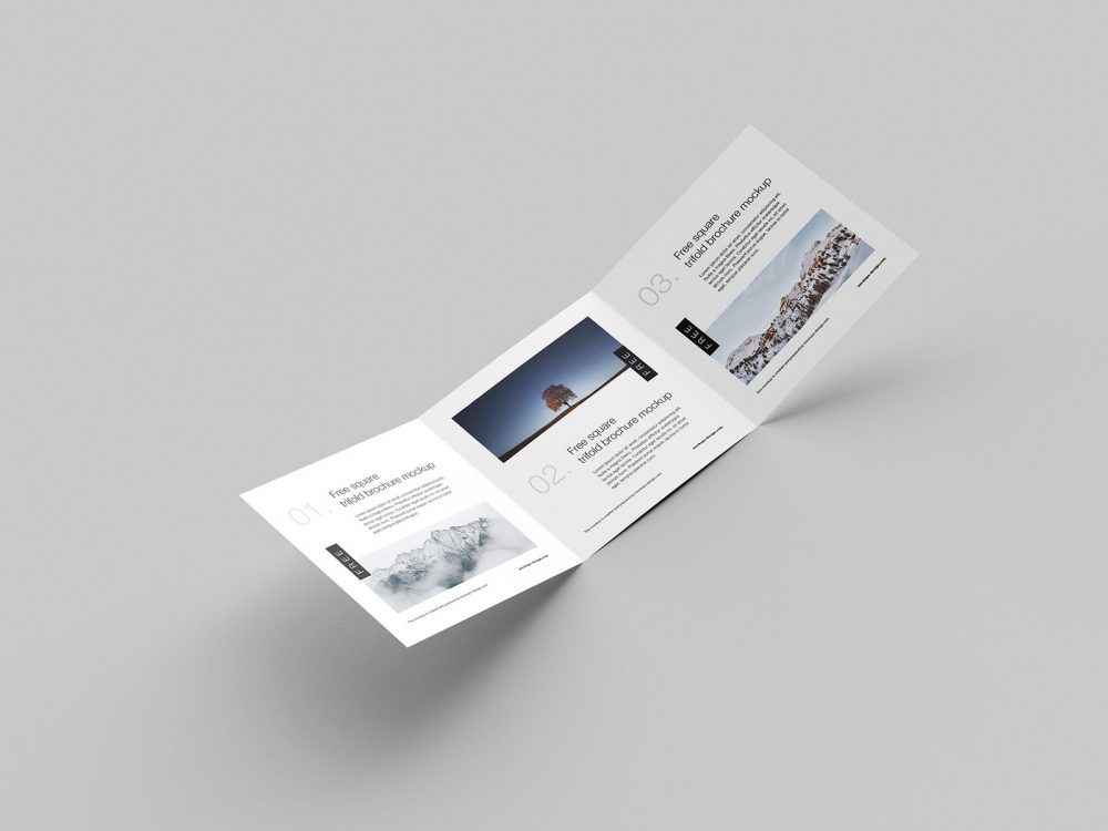 Free Square Trifold Flyer Mockup