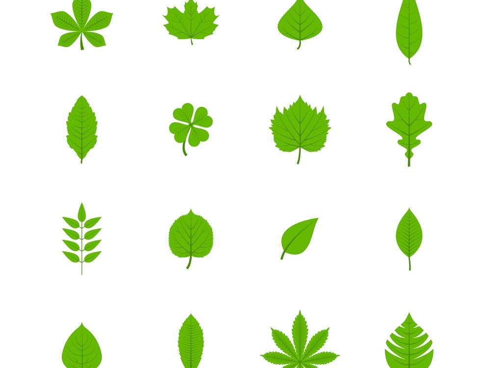 Green Trees Leaves Icons