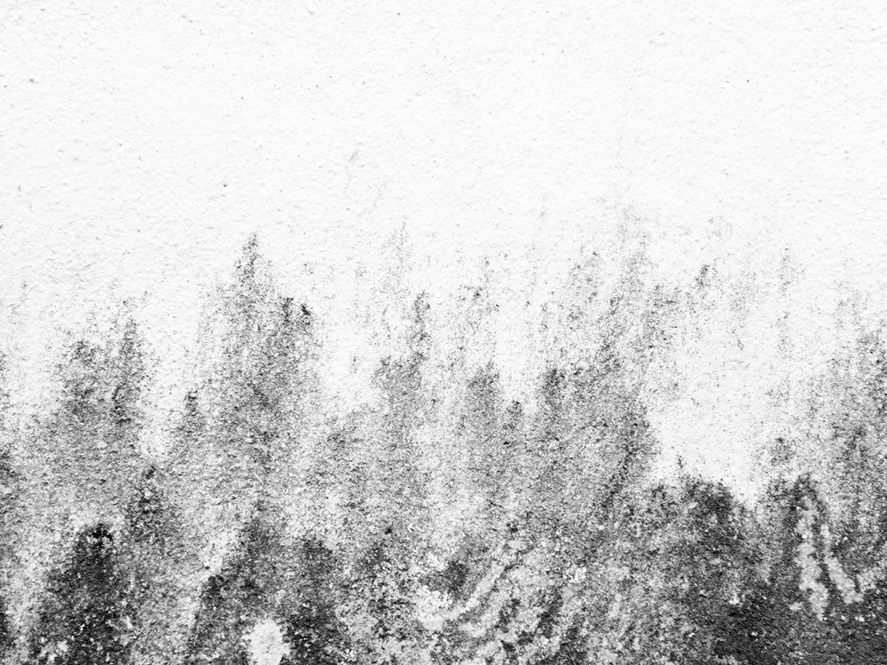 Metal Texture with Dust Scratches and Cracks