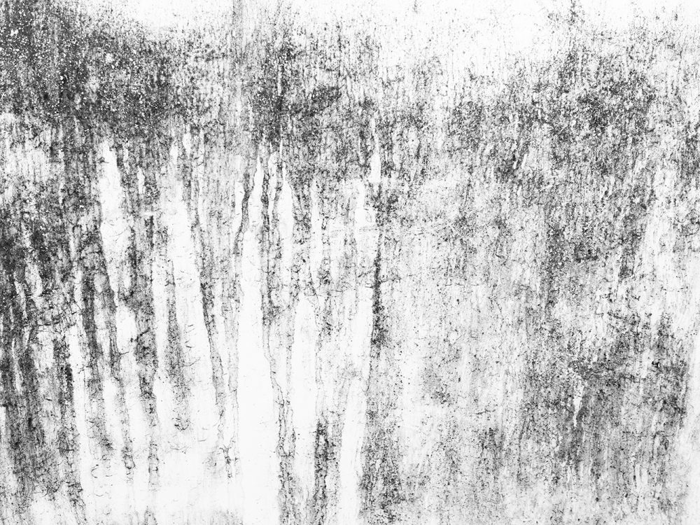 Metal Texture with Dust Scratches and Cracks