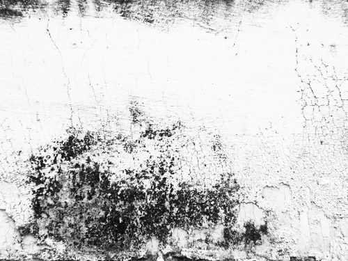 Metal Texture with Dust Scratches and Cracks