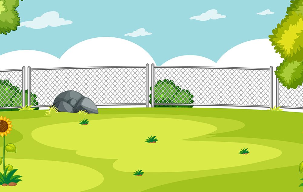 Blank Nature Park Landscape