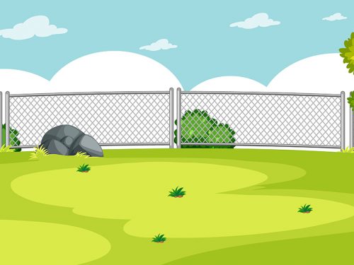 Blank Nature Park Landscape