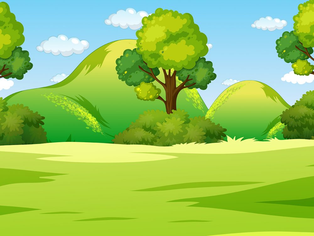 Blank Nature Park Landscape