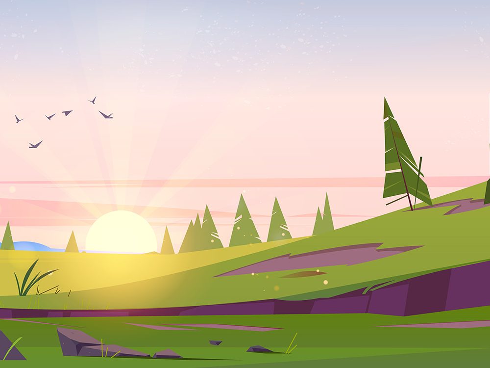 Blank Nature Park Landscape