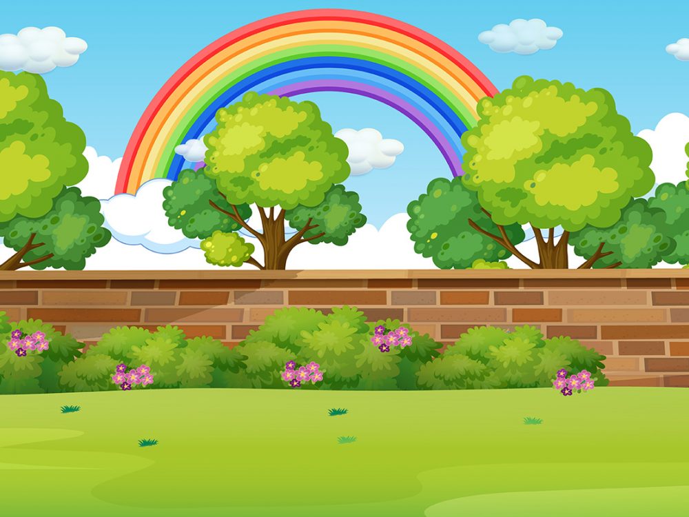 Blank Nature Park Landscape