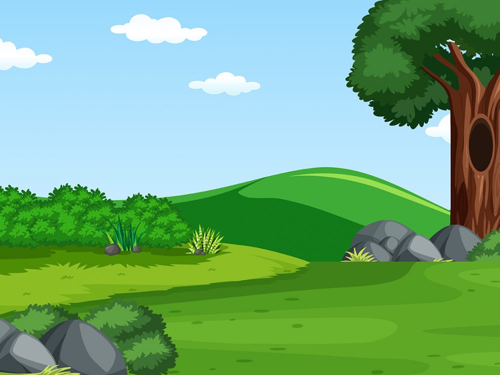 Blank Nature Park Landscape