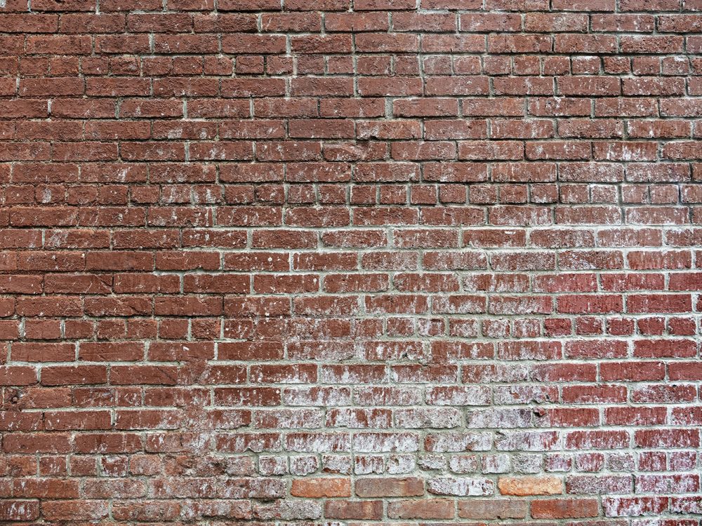 Brick Wall Texture