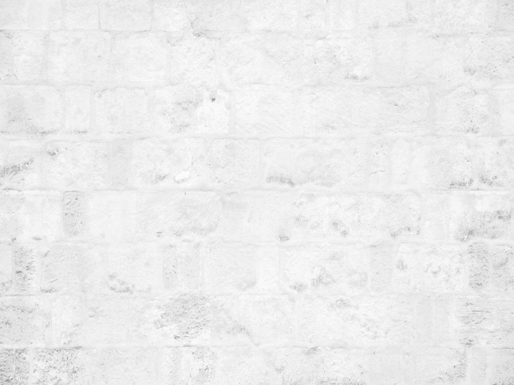 Light Gray Brick Wall Texture