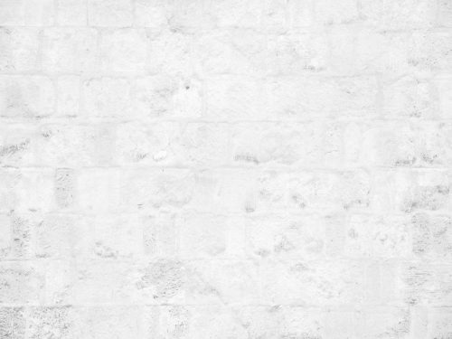 Light Gray Brick Wall Texture