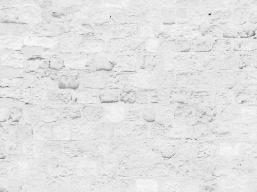 Light Gray Brick Wall Texture