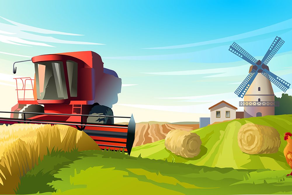 Rural Summer Landscape Illustration