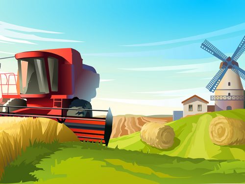 Rural Summer Landscape Illustration