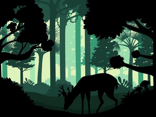 Silhouette Dark Forest Landscape Illustration