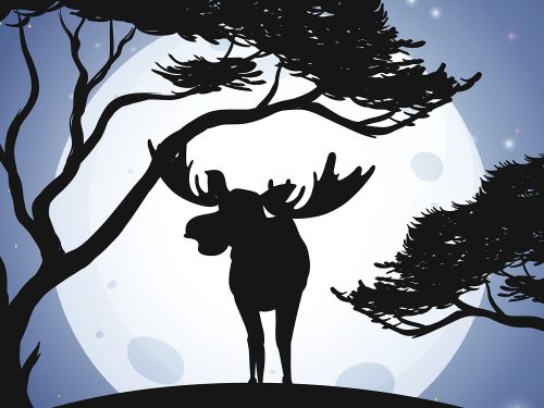 Silhouette Deer and Forest Illustration