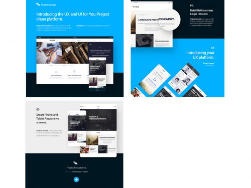 UI Design Psd Project Showcase