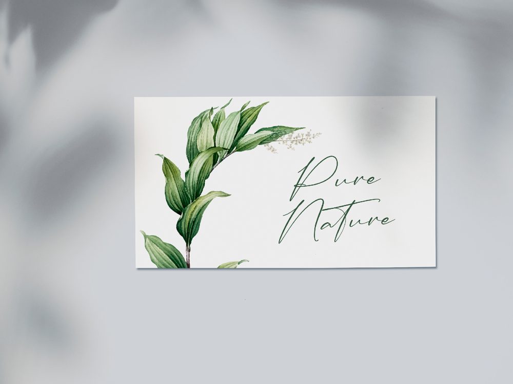 Anastasia Timothy Free Font