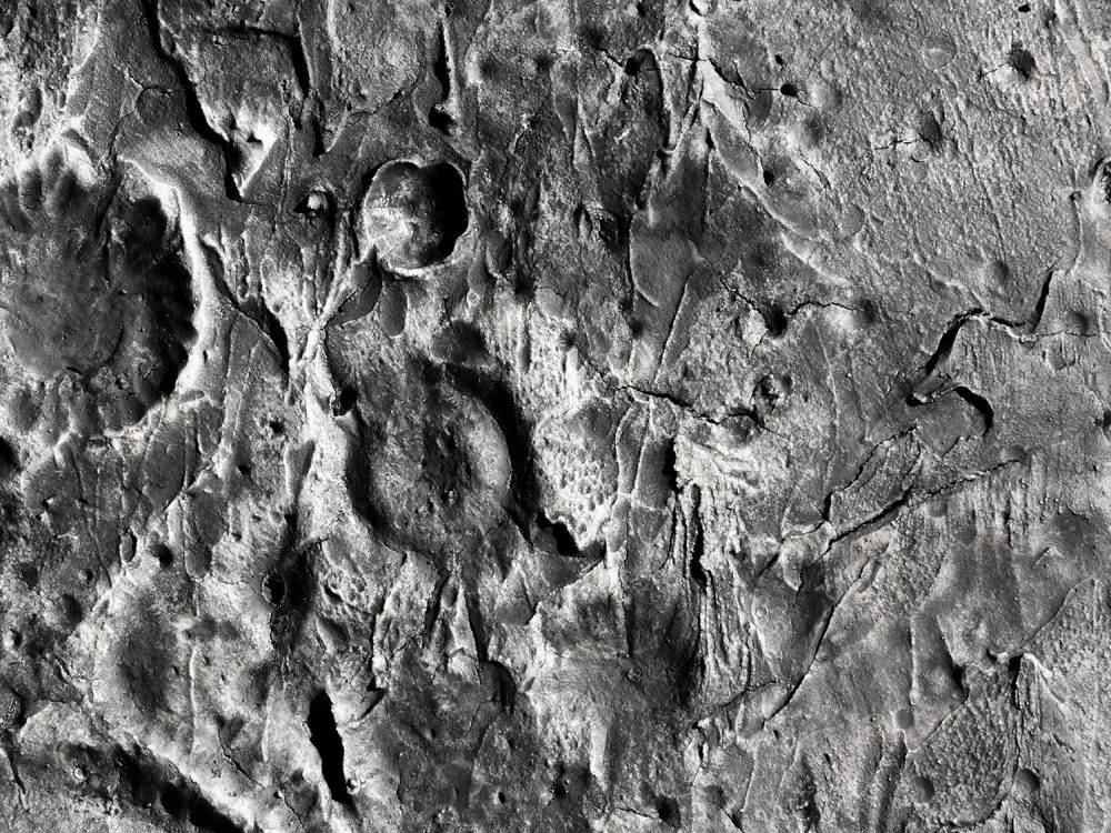 Black and White Details of Moon Texture