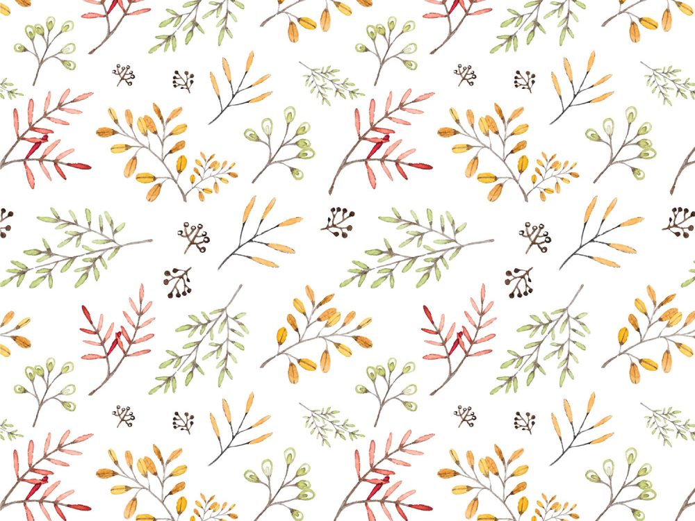 Hand Drawn Plants Pattern