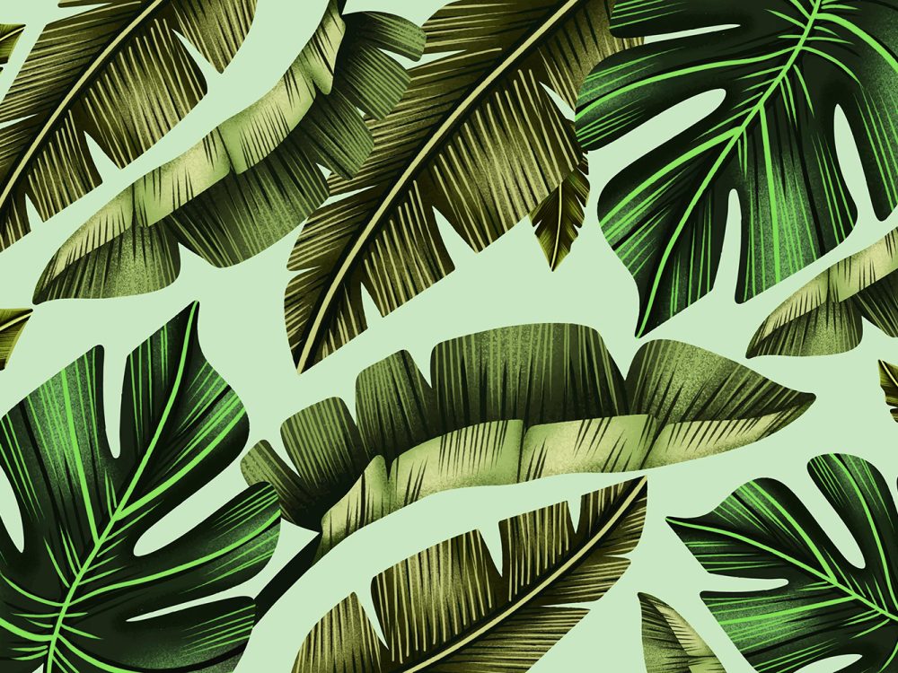 Hand Painted Tropical Leaves Free Background