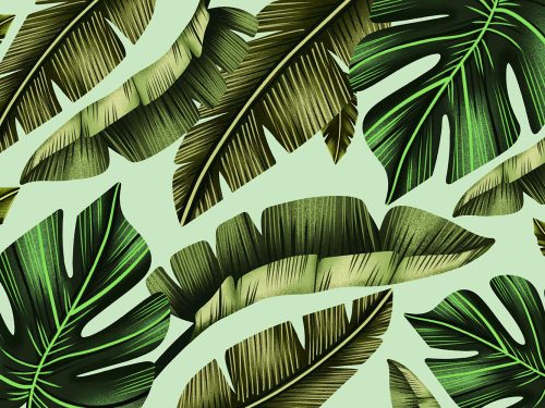 Hand Painted Tropical Leaves Free Background