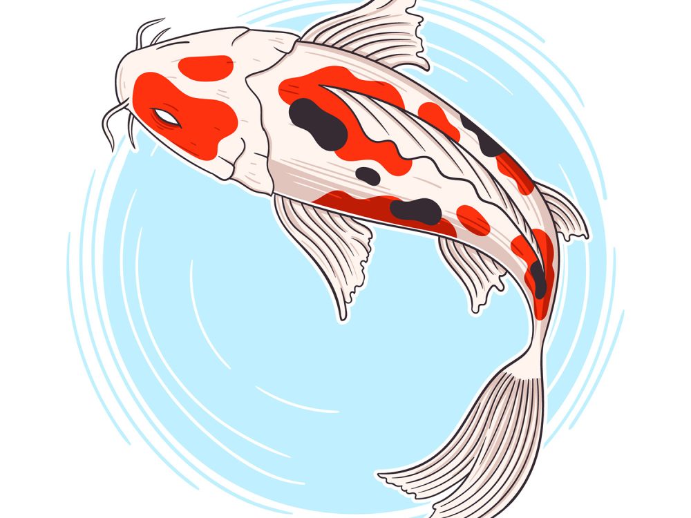 Hand drawn Koi Free Illustration