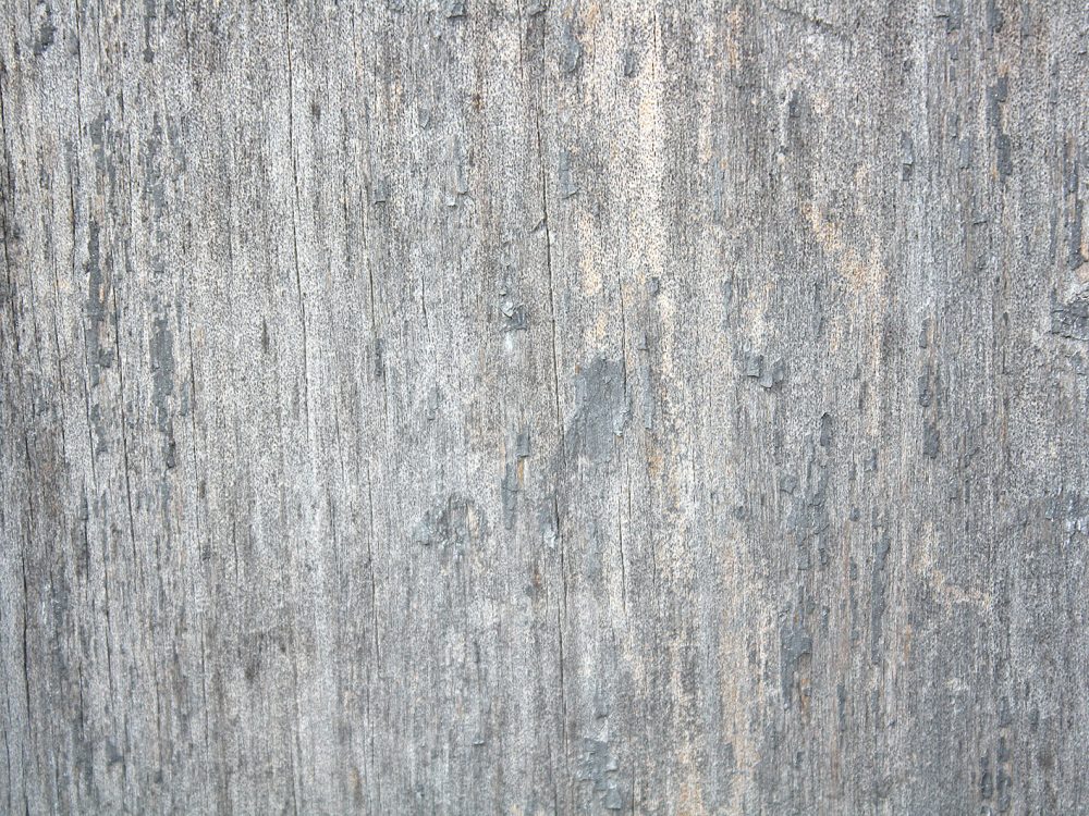 Old Wood Free Textures