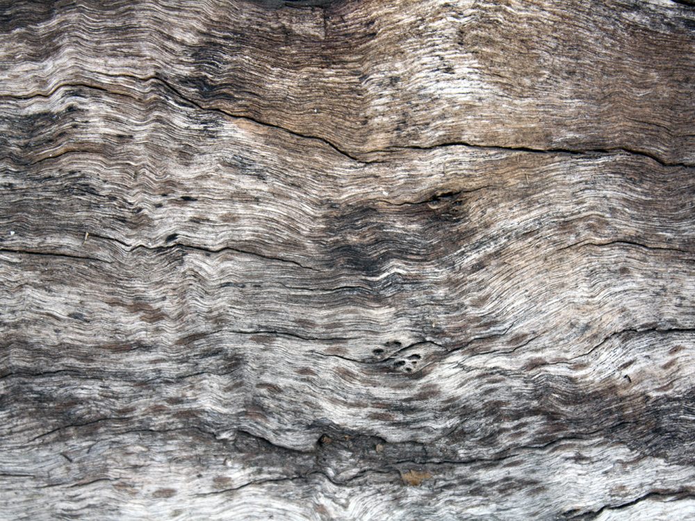 Old Wood Free Textures