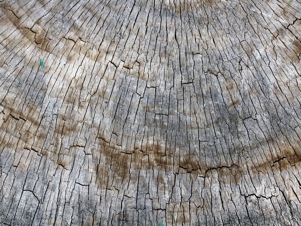 Old Wood Free Textures