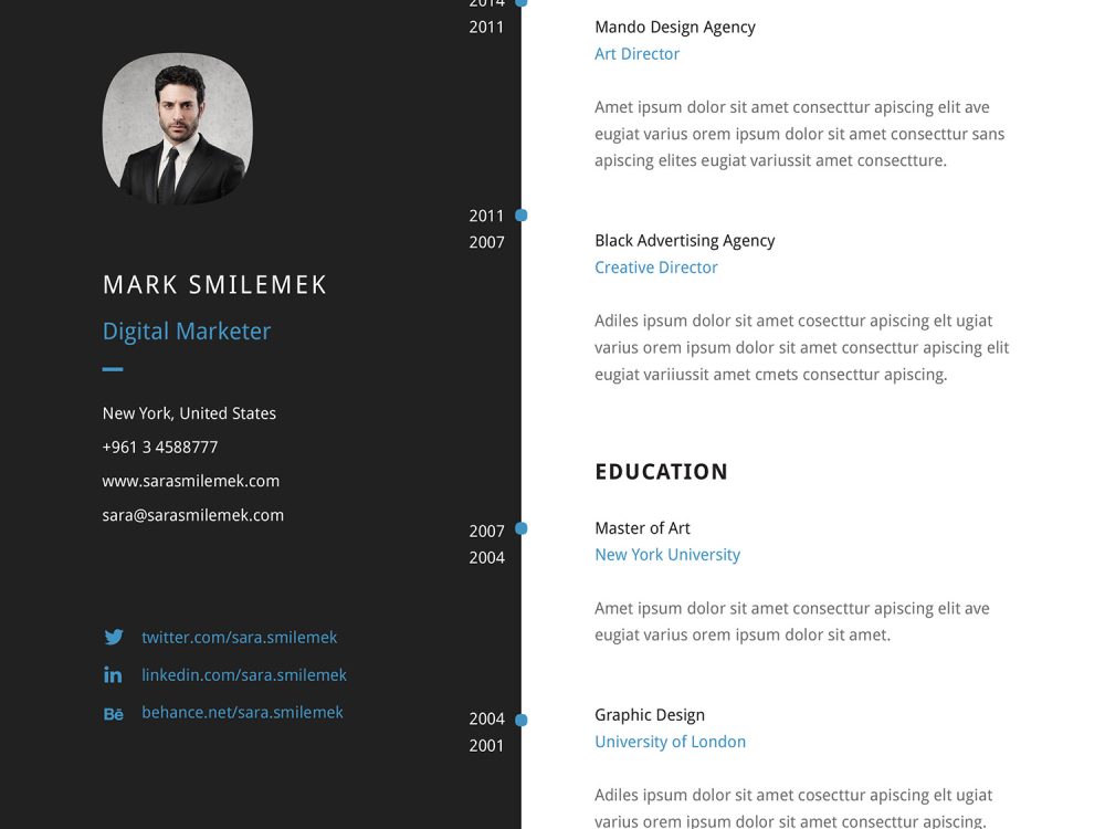 Vertical Resume Template