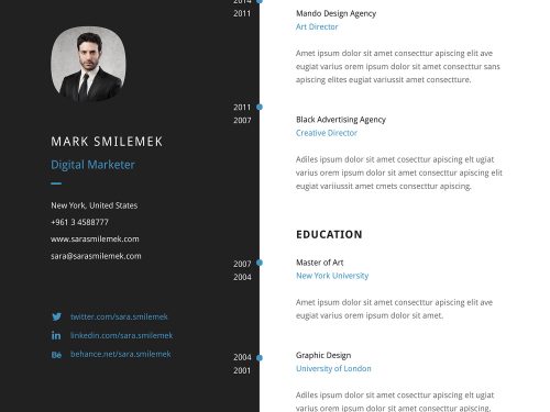 Vertical Resume Template