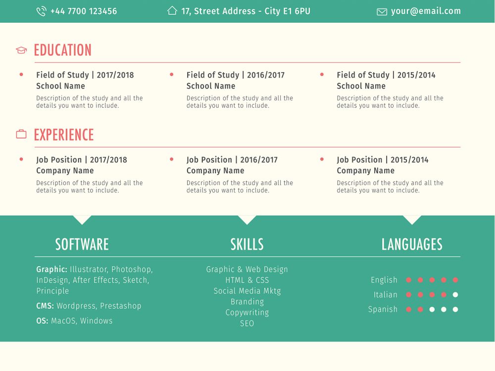 6 Style Resume Template