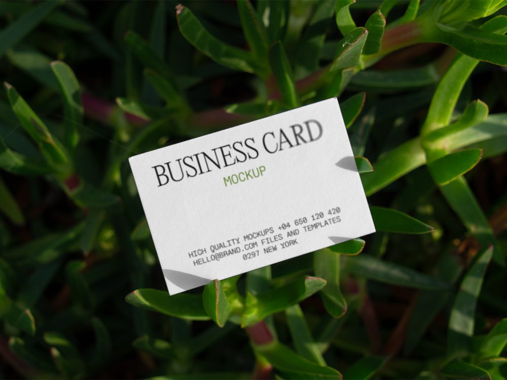 Business Card on Succulent Free Mockup